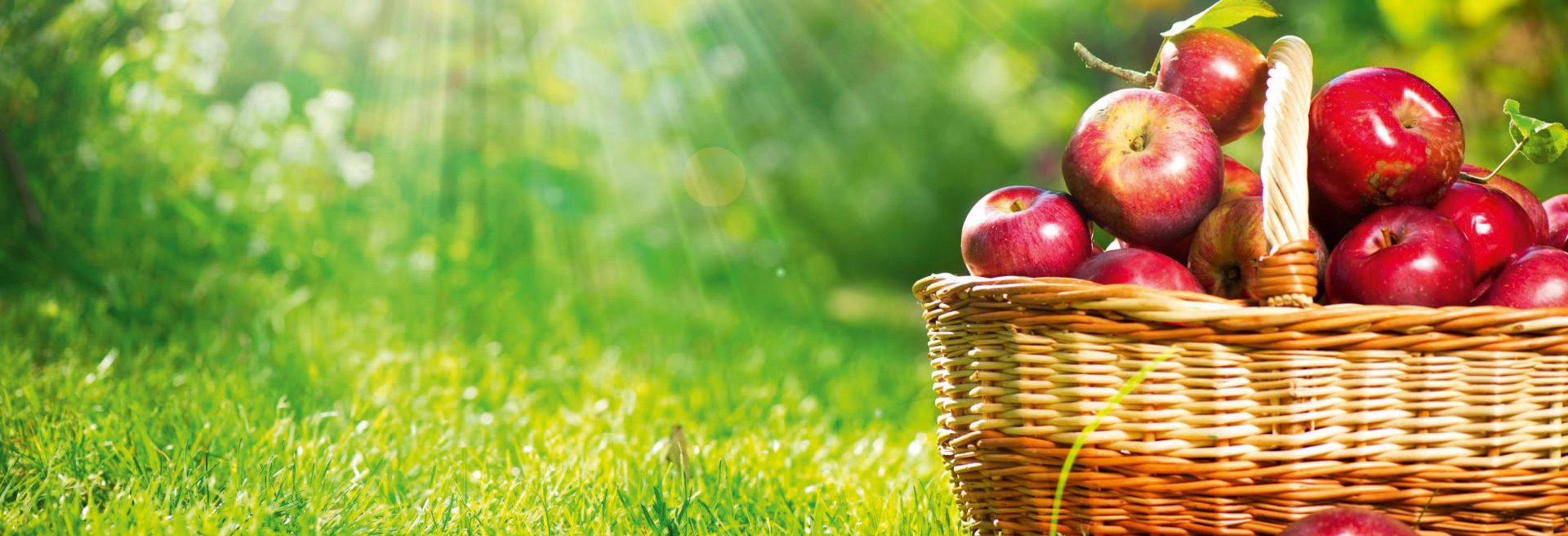 Applesliderbackground Fitofert