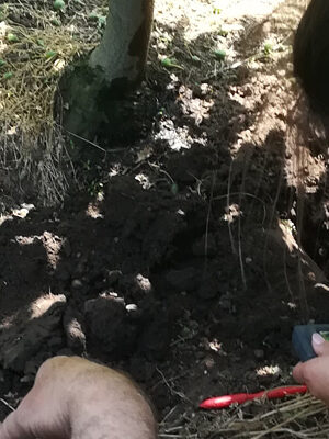 AGROSERVICE PE TEREN