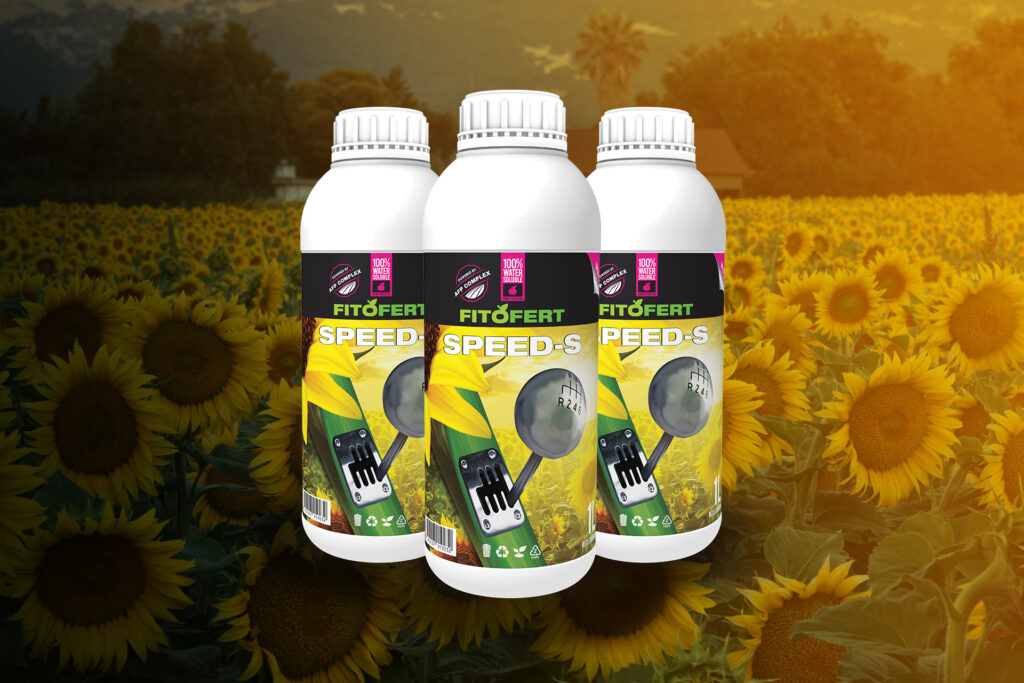 СТАРАЯ СКОРОСТЬ УПАКОВКИ