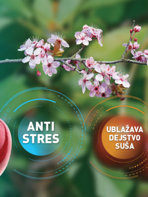 AMINOFLEX SA ANTISTRES EFEKTOM