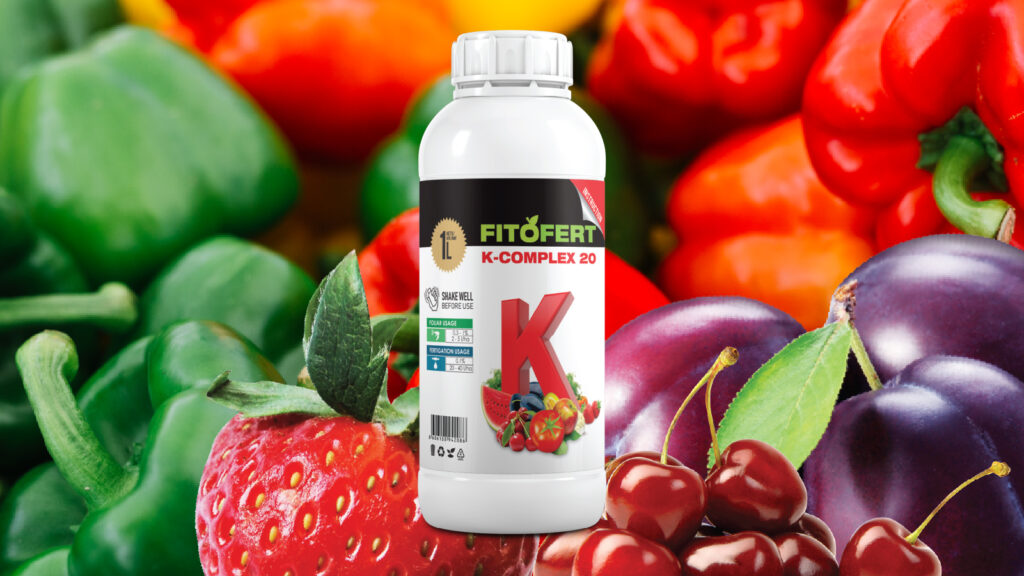 K-комплекс 20