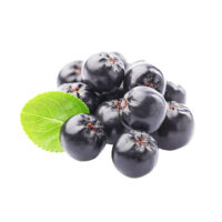 BOROVNIICA, ARONIJA I RIBIZLA