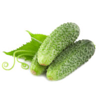 KRASTAVAC I KORNIŠON