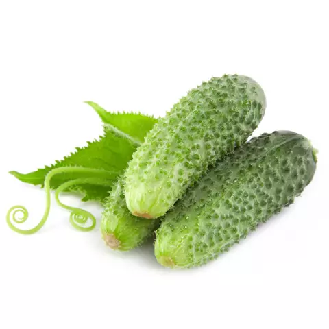 KRASTAVAC I KORNIŠON