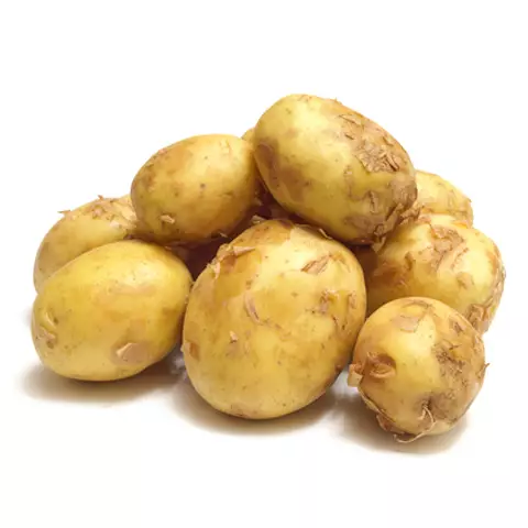 Fitofert-program-prihrane-povrca-krompir KROMPIR