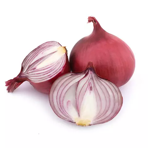 Fitofert-program-prihrane-povrca-luk LUKOVIČASTO POVRĆE