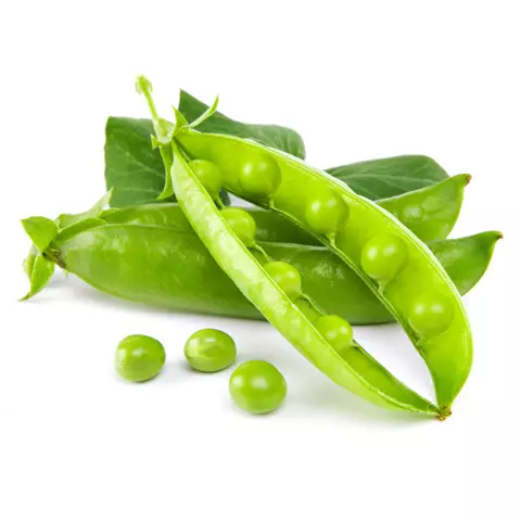 Fitofert-program of feeding-vegetables-leguminous LEGUMES