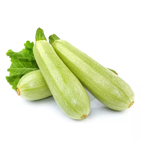 ZUCCHINI