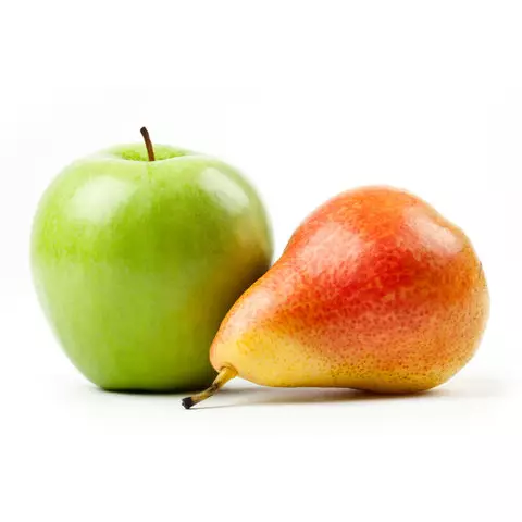 Fitofert-program-hranjenja-s-sadjem-jabolko-in-hruško-1 JABOLKO IN HRUŠKA