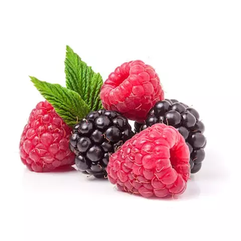Fitofert-program-feeding-fruit-raspberry-blackberry RASPBERRY AND BLACKBERRY