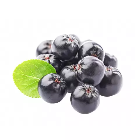 ÁFONYA, BARONIA ÉS RIBIZLI