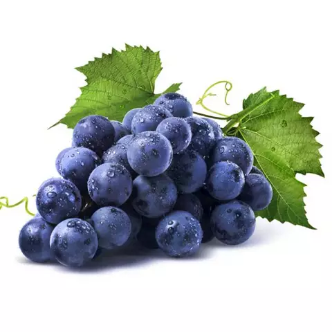 Программа подкормки виноградной лозы Fitofert ВИНОГРАД