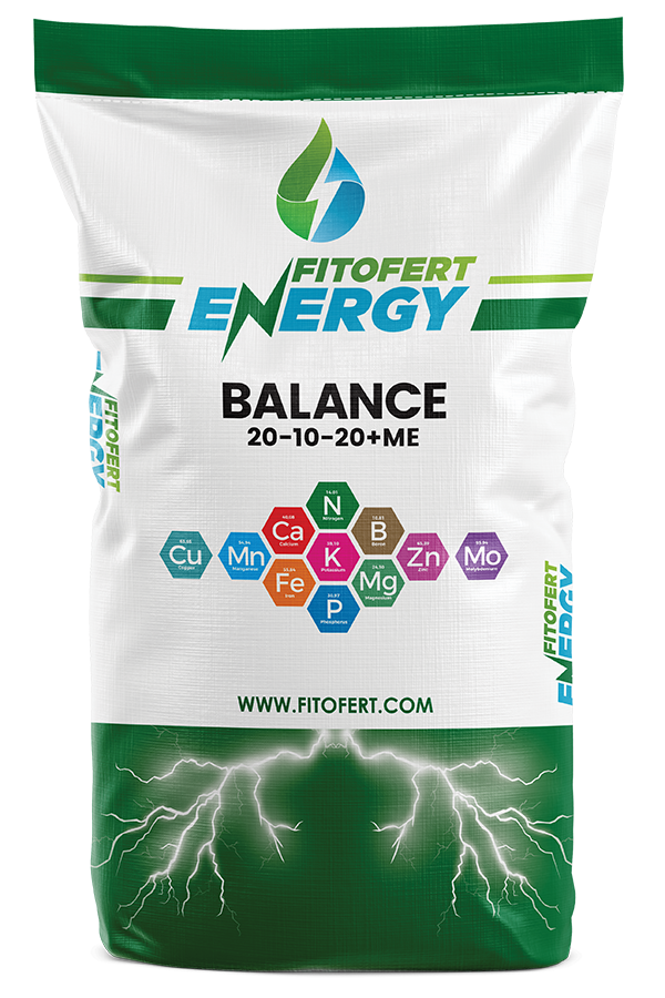 energy-balance-20-10-20+me-10kg BALANCE