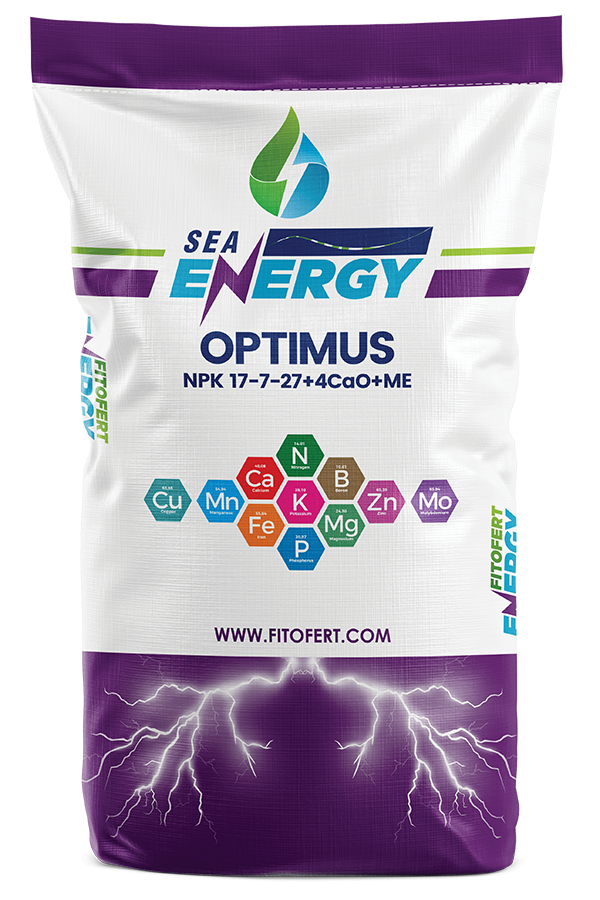 energy-optimus-10kg OPTIMUS