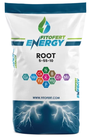 ROOT