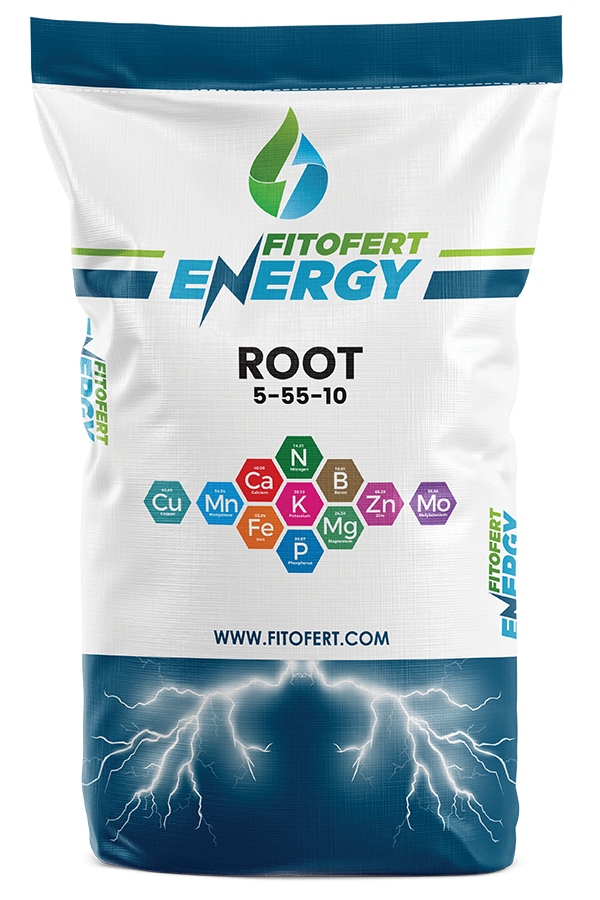 ROOT