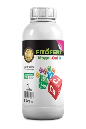 MAGNI CAL B