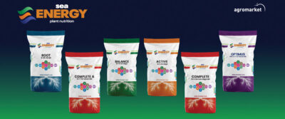 ЭНЕРГЕТИЧЕСКАЯ ЛИНИЯ