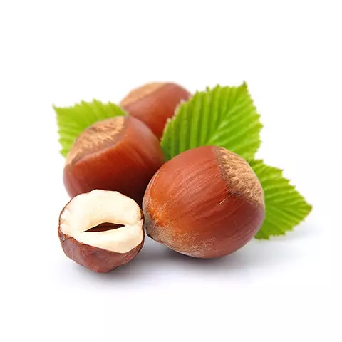 Mogyoró a nemzetségben